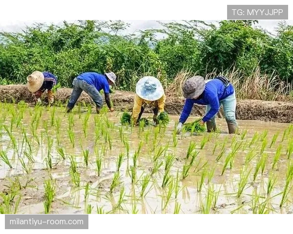 杨力维随手一刷卡的消费明细，我看完只想回老家种地