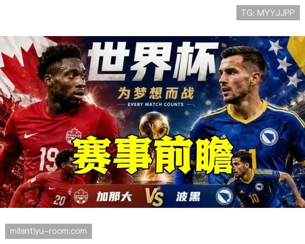 波黑进入世界杯B组，出线形势分析